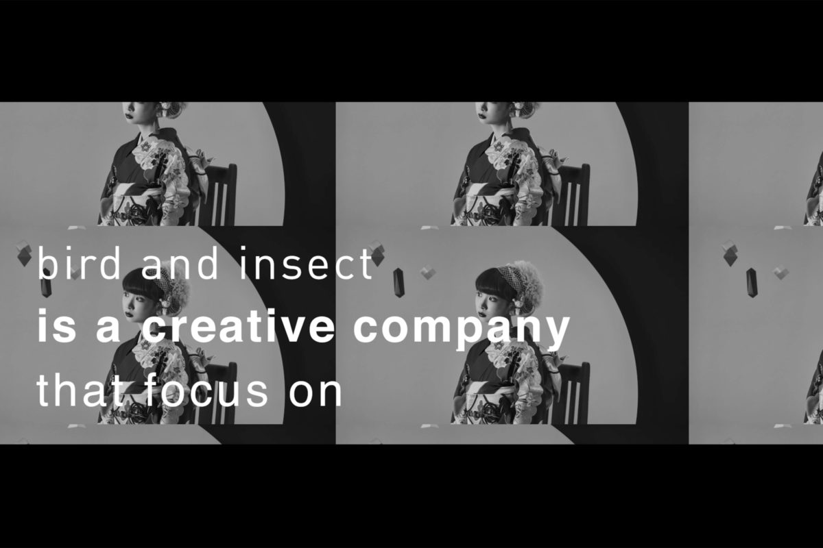株式会社bird and insect