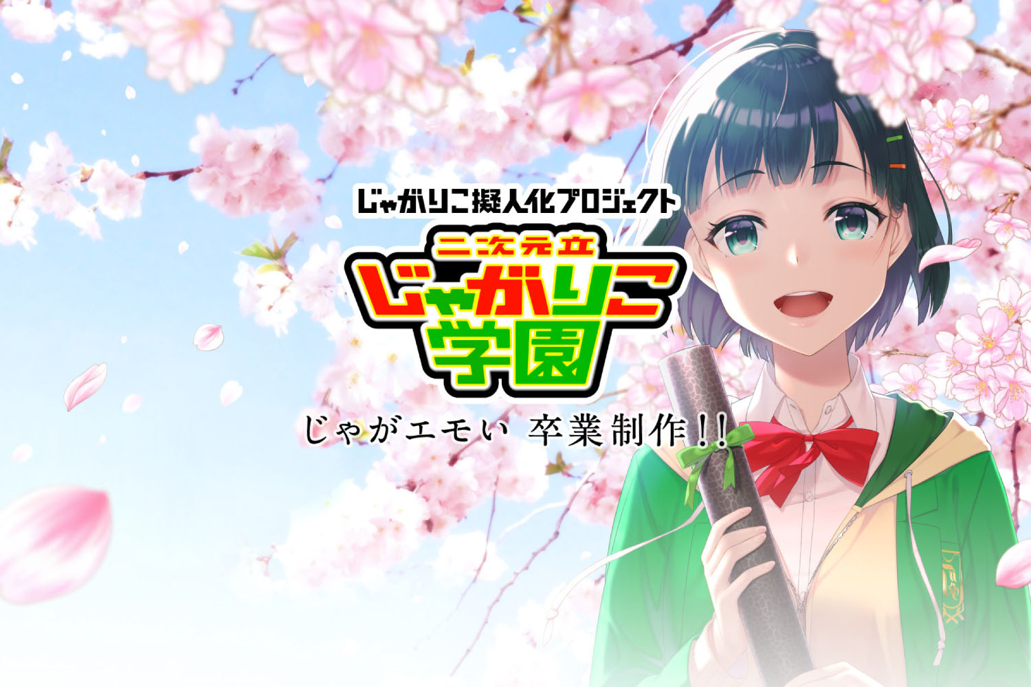 コミュニケーションの設計から、ビジュアル、コピー、ロゴ、各種動画やSNS運用のサポートなど、クライアントやアーティスト、協力会社と一緒に、企画・制作させていただきました。