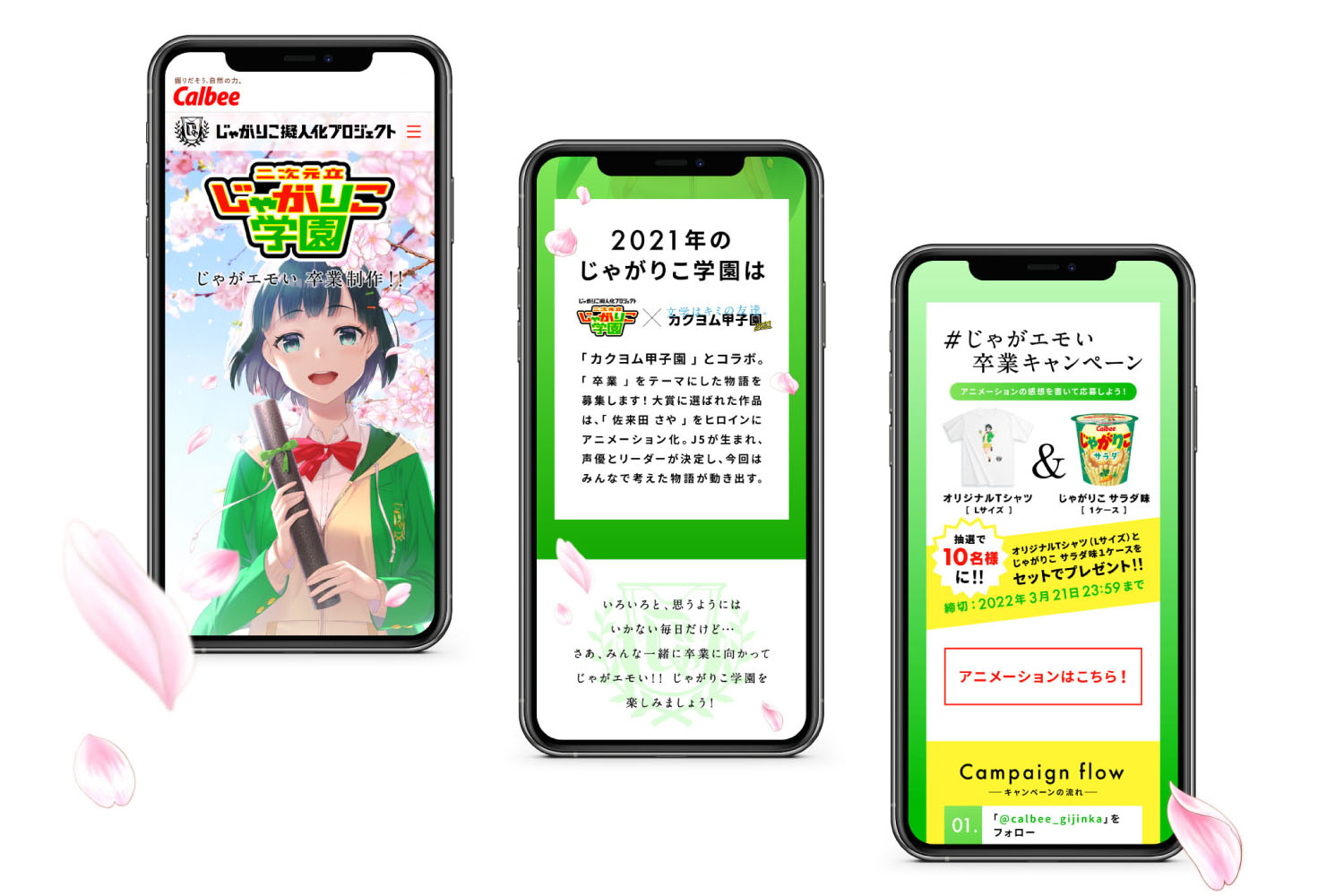 コミュニケーションの設計から、ビジュアル、コピー、ロゴ、各種動画やSNS運用のサポートなど、クライアントやアーティスト、協力会社と一緒に、企画・制作させていただきました。