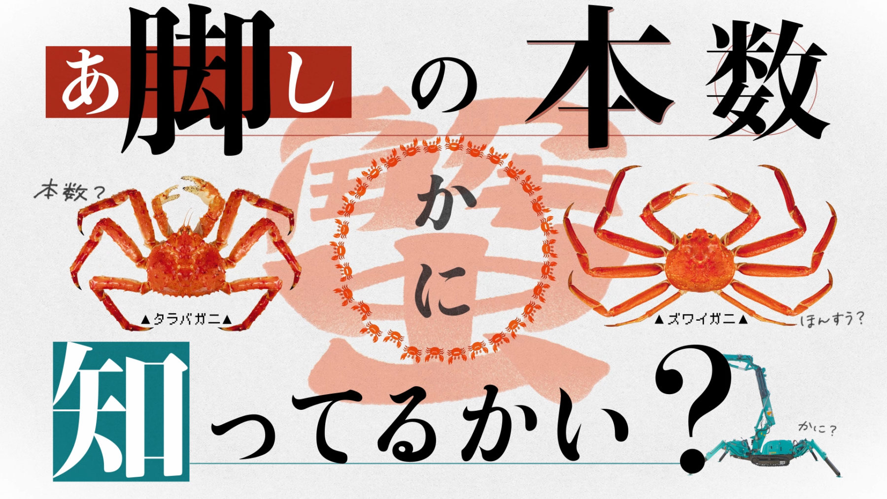 前田製作所 テレビCM 「脚の本数」篇